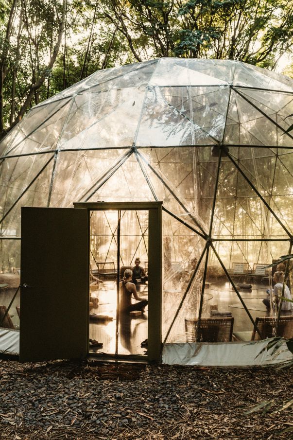Geodesic dome structure in a forest setting with people inside.