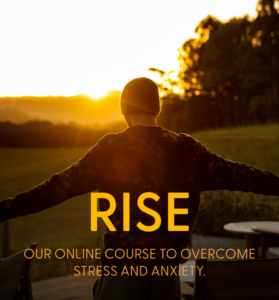 RISE - Our online course to overcome Stress & Anxiery
